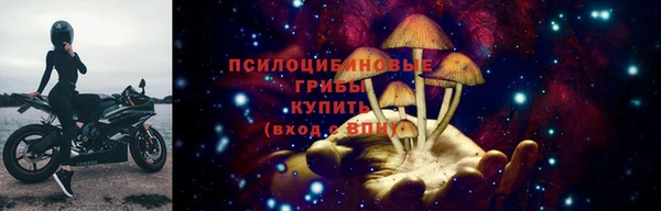 метадон Арсеньев
